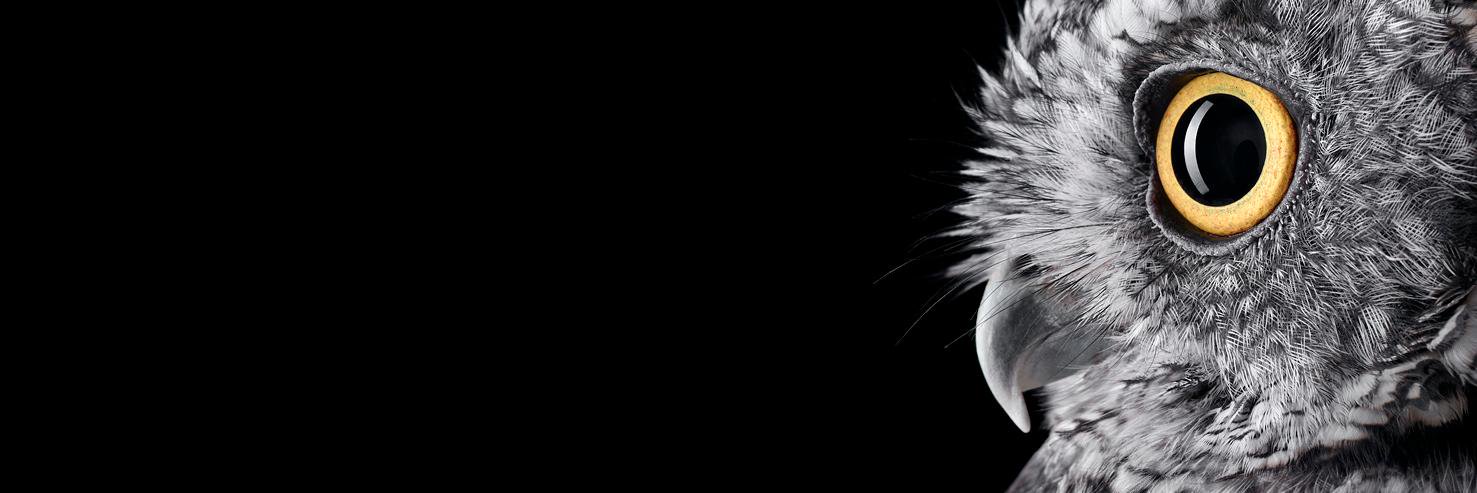 mfitzhenry's profile banner image