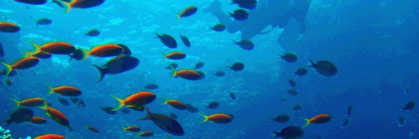 MarkIMcComick Profile Banner