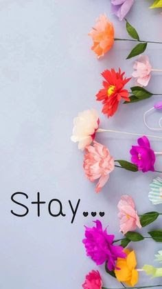 Fairy1802's profile banner image