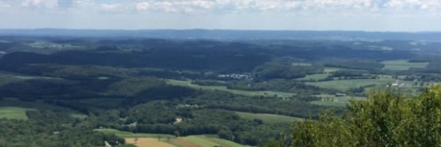 Amy Fierro, MS, RN, CIC banner