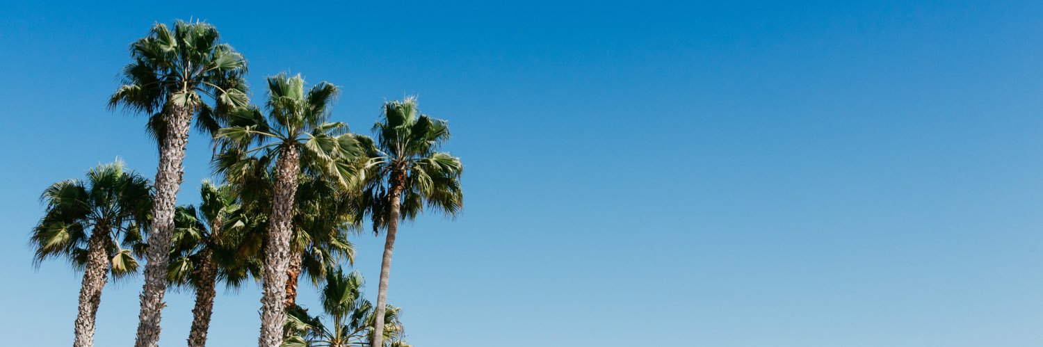 TGSheezy's profile banner image