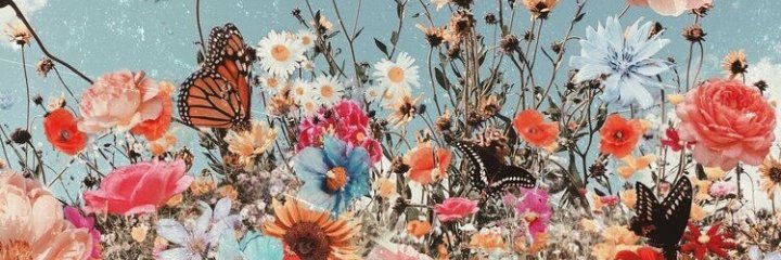 ValeSalgadoo's profile banner image