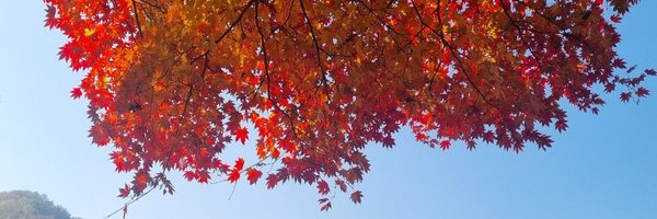 firemt123 Profile Banner