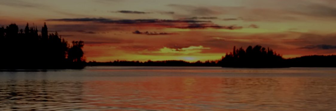 SGus14's profile banner image