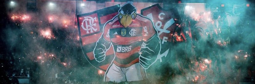 N SOMOS FÃS DE CANALHAS banner