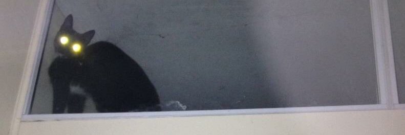 eripmav a saw drawdE ,tsriF banner