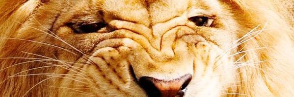 RICKY 💙❤️ 🦅 banner