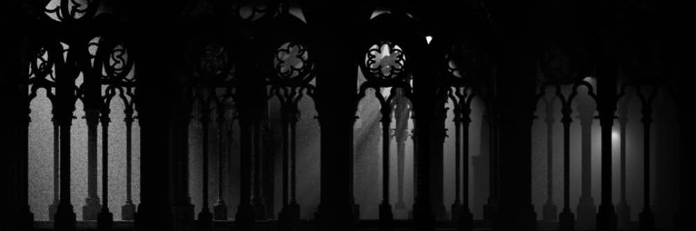 v01dirl's profile banner image