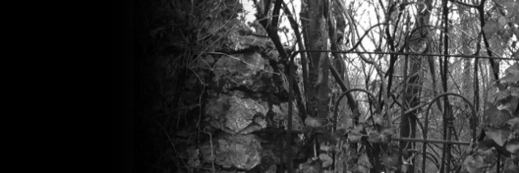 Aggy_C's profile banner image
