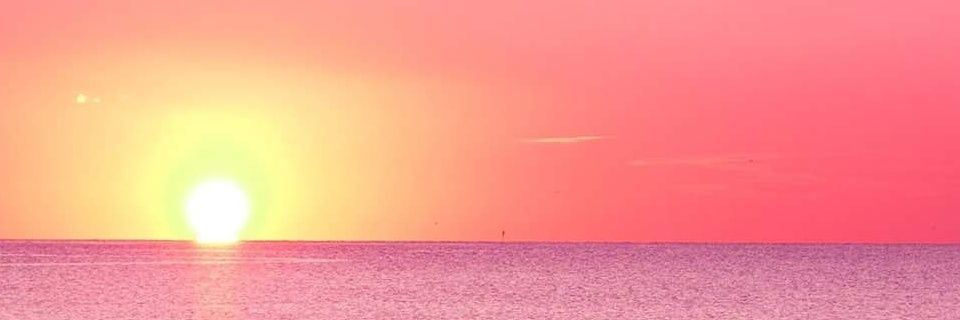 Elitta1601's profile banner image