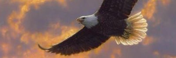 BraveWoodsFarm Profile Banner