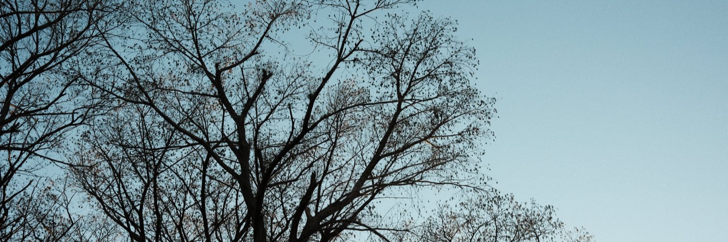 jackiea_a's profile banner image
