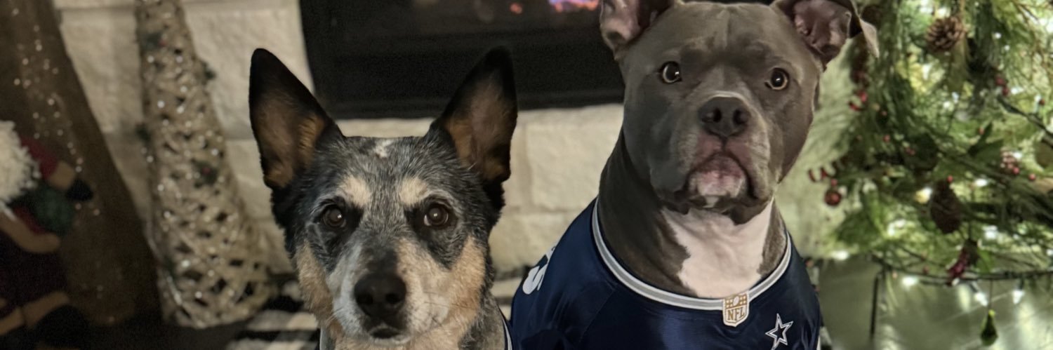 Chrislyn Lowery banner