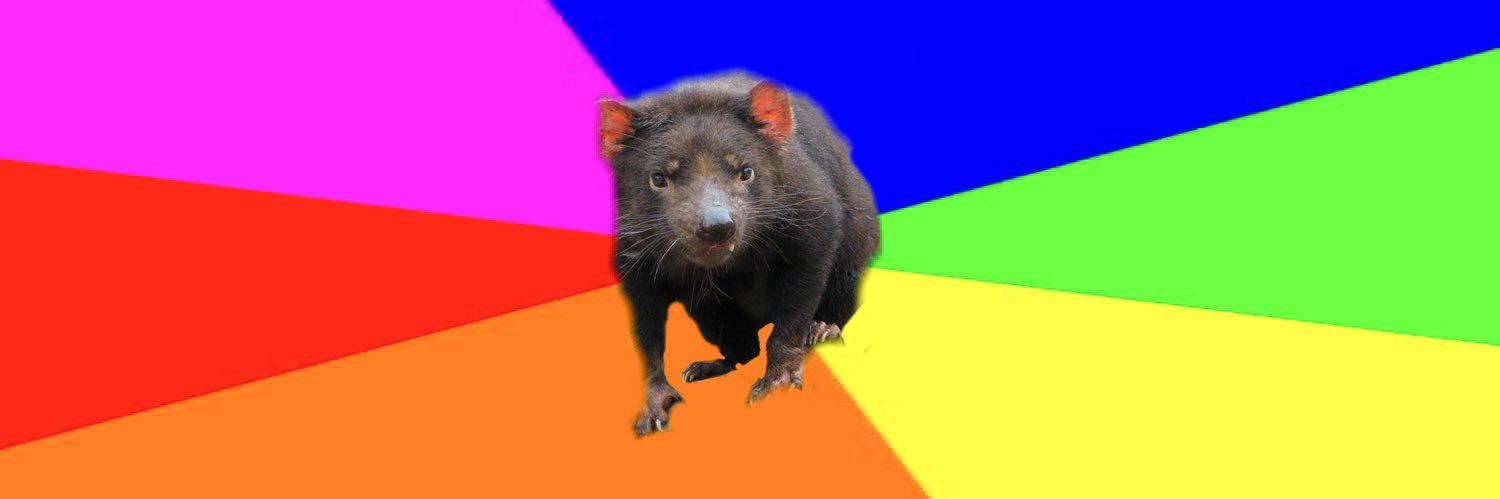Quirky Tasmanian Coin banner