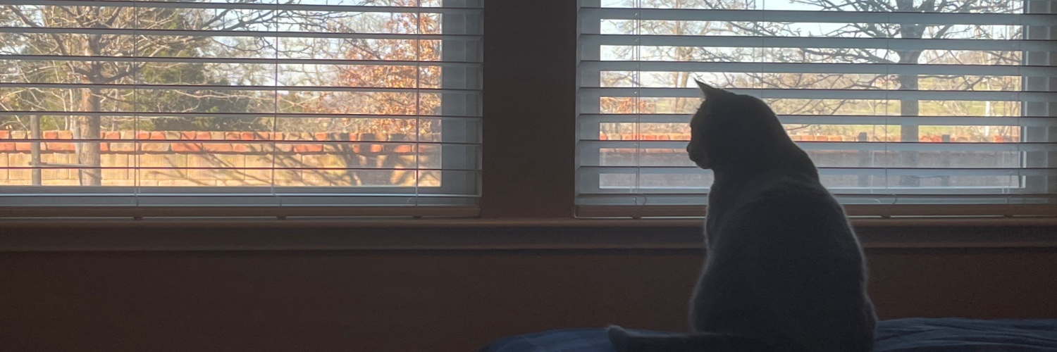 Dillon George (Smashstar16) banner