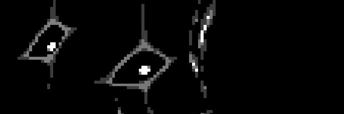 Doccet_S's profile banner image