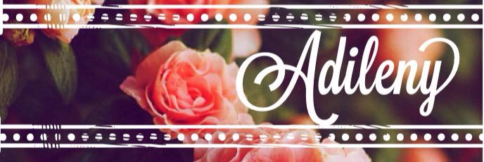 AdilenyRobles's profile banner image