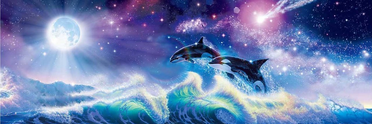 Ocean Galaxy banner