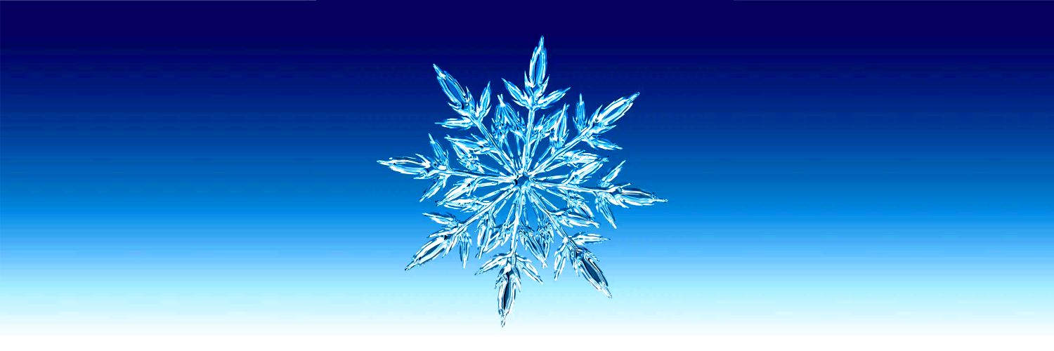 정녕 저놈들과 온기를 나눠야하나요?! banner