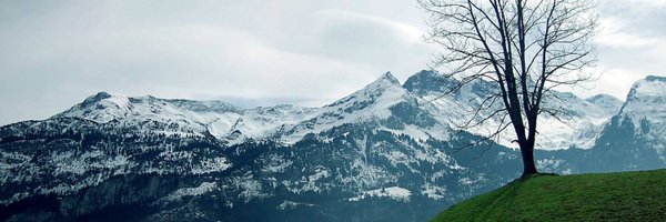 angufibolinc Profile Banner