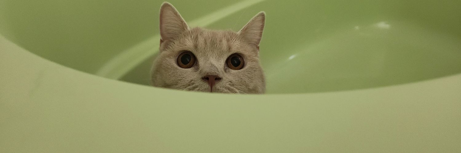 肩幅ひろみ banner