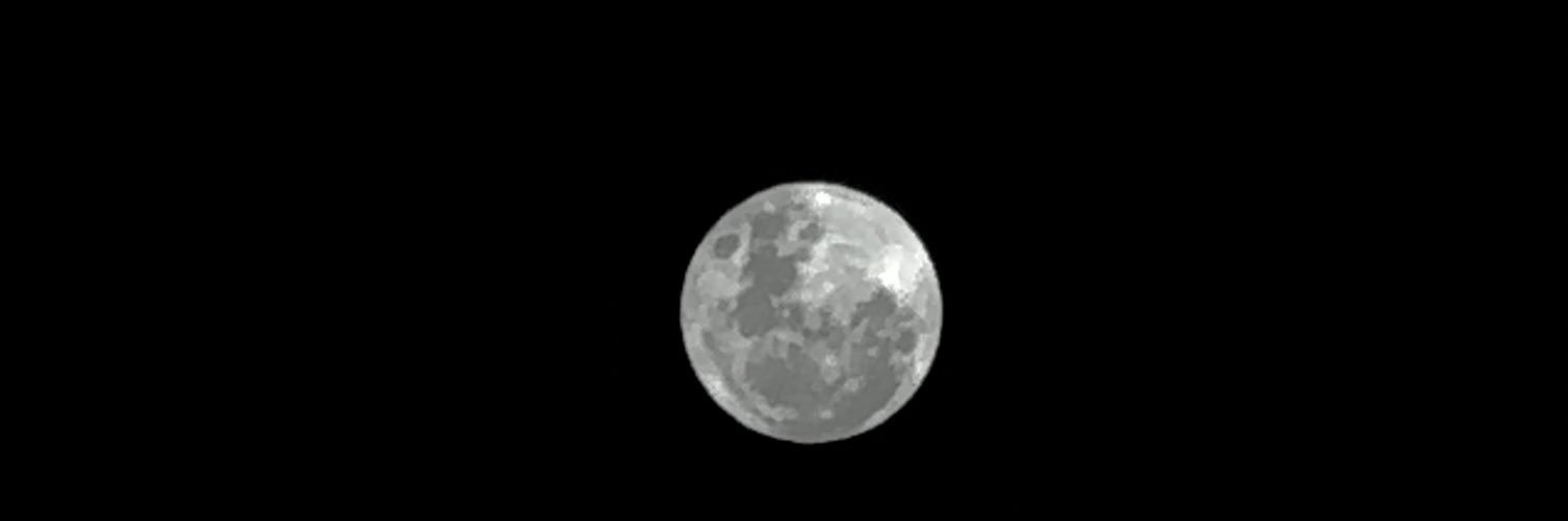 vicventuraa's profile banner image