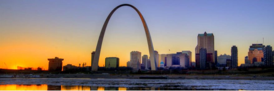 NDBSStLouis's profile banner image