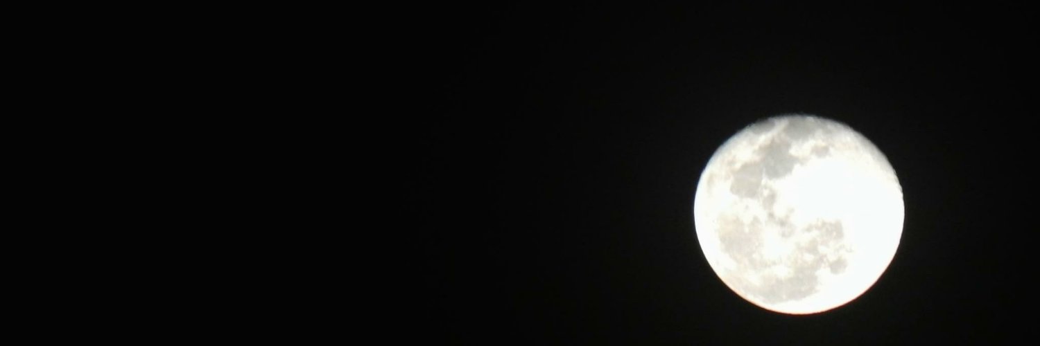 taicanto's profile banner image