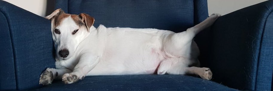 Johan Brause 🫗 banner