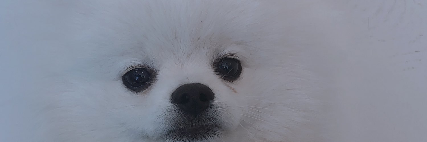 donkye_o's profile banner image