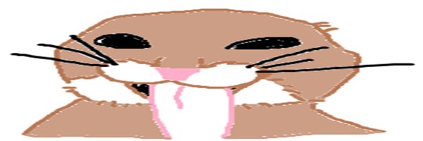 _NathanLimo Profile Banner