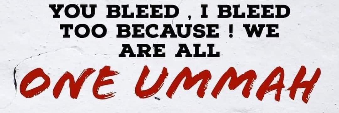 Abid Ali 🇵🇸 banner