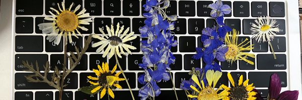 Lor94Loitongbam Profile Banner