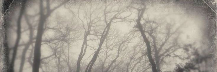 aloïs (comms open) banner