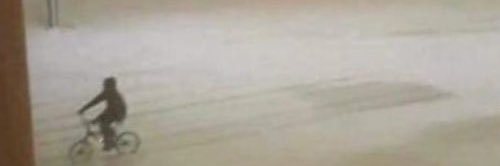 Thugger banner