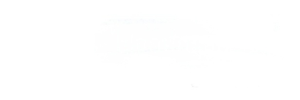 25 banner