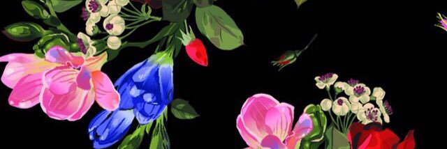 1trentin's profile banner image