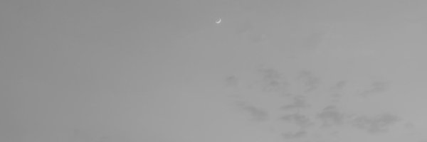 LUA_ll5 Profile Banner