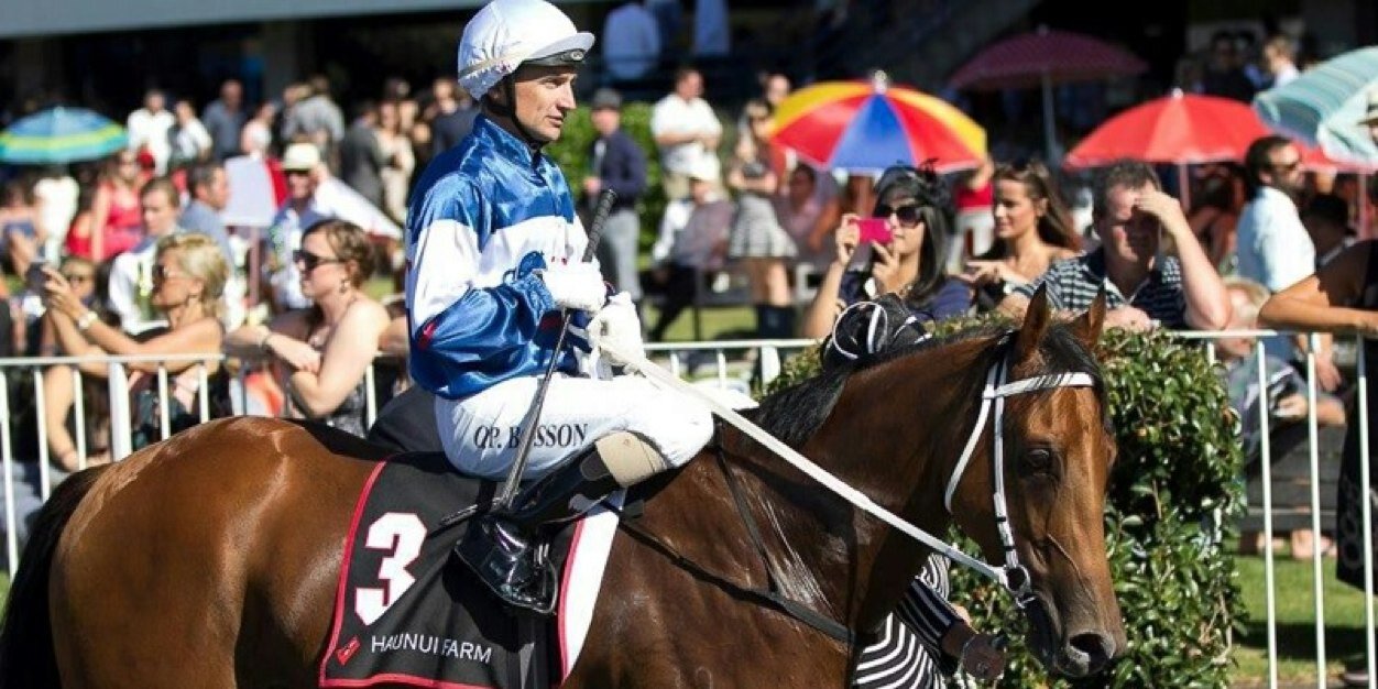 Stephen Marsh banner