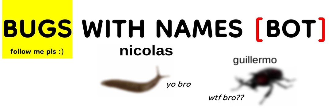 Bugs Bot's banner
