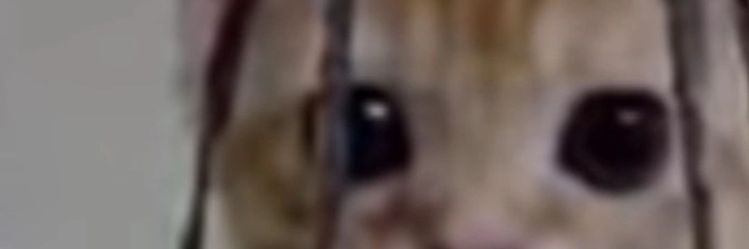 an_mengly's profile banner image