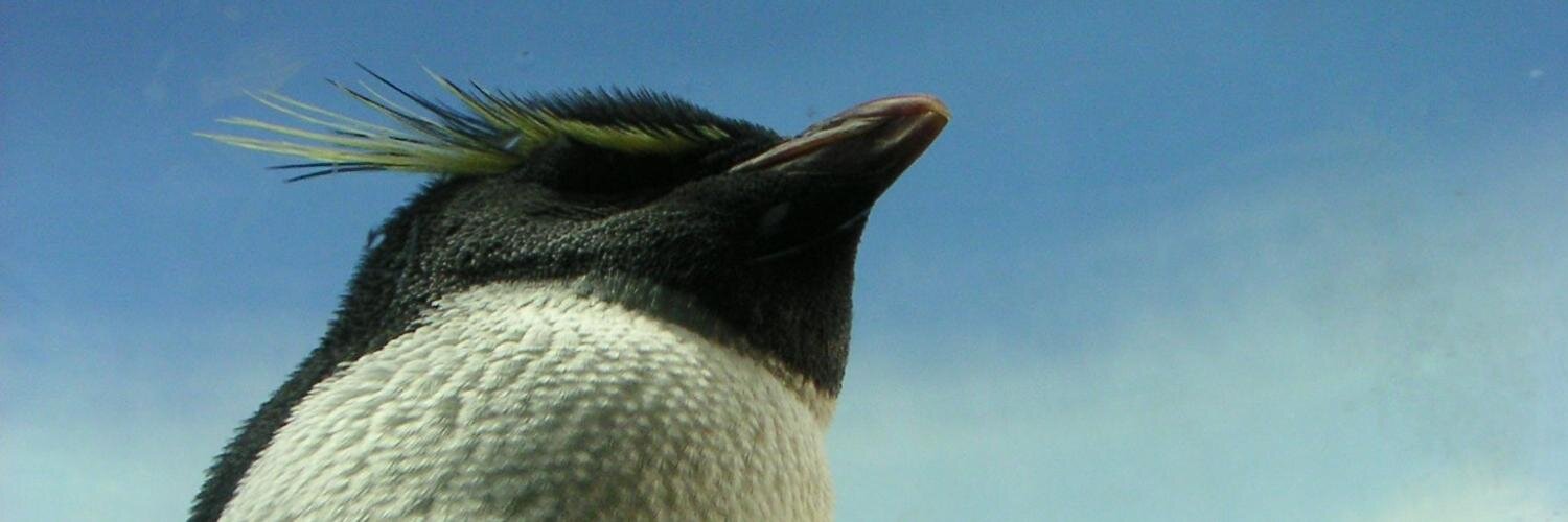 bpasu's profile banner image