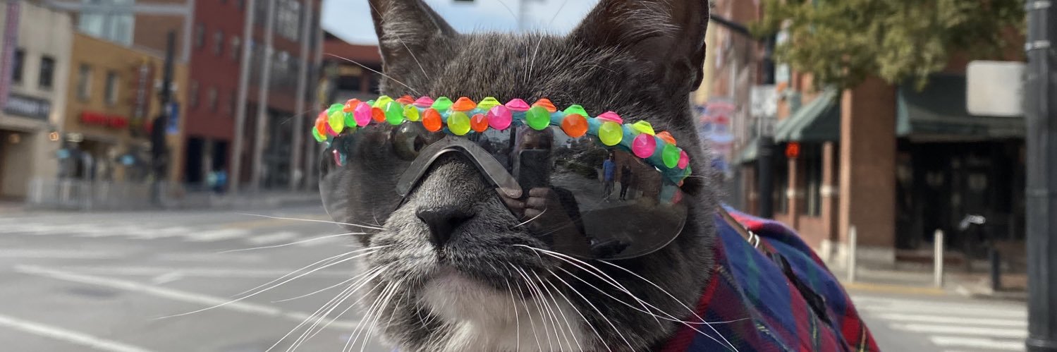 RealSunglassCat's profile banner image