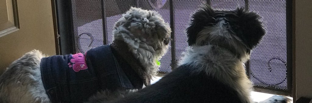 Laprofesandy200's profile banner image