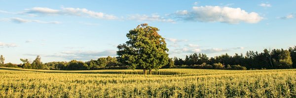 crreesor Profile Banner