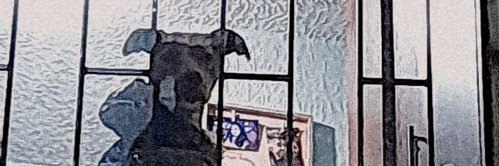 kaareeeeeeeenn's profile banner image