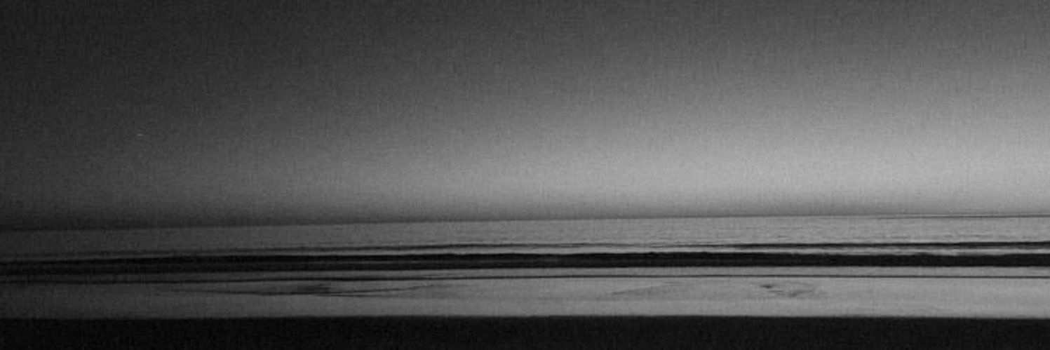 zi banner