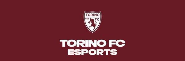 Torino FC eSports Profile Banner