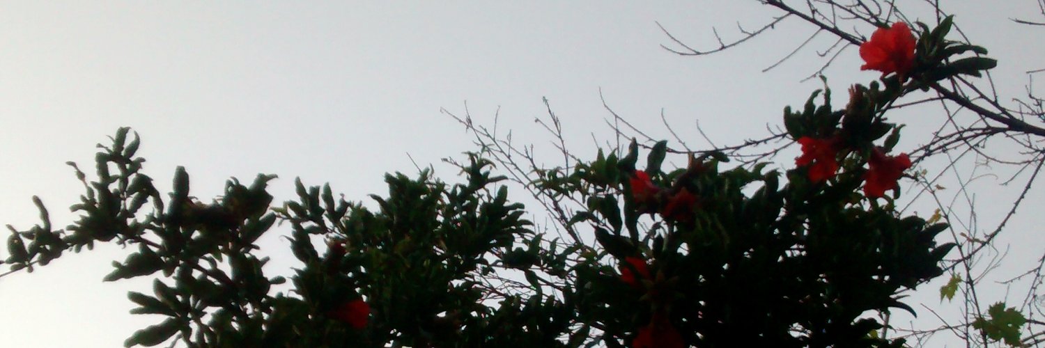 peperina_mint's profile banner image