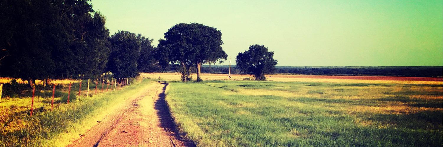 waschultz's profile banner image